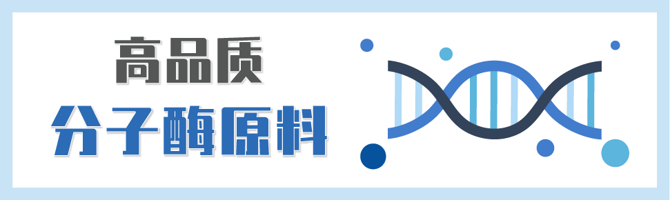 分子酶原料推廣